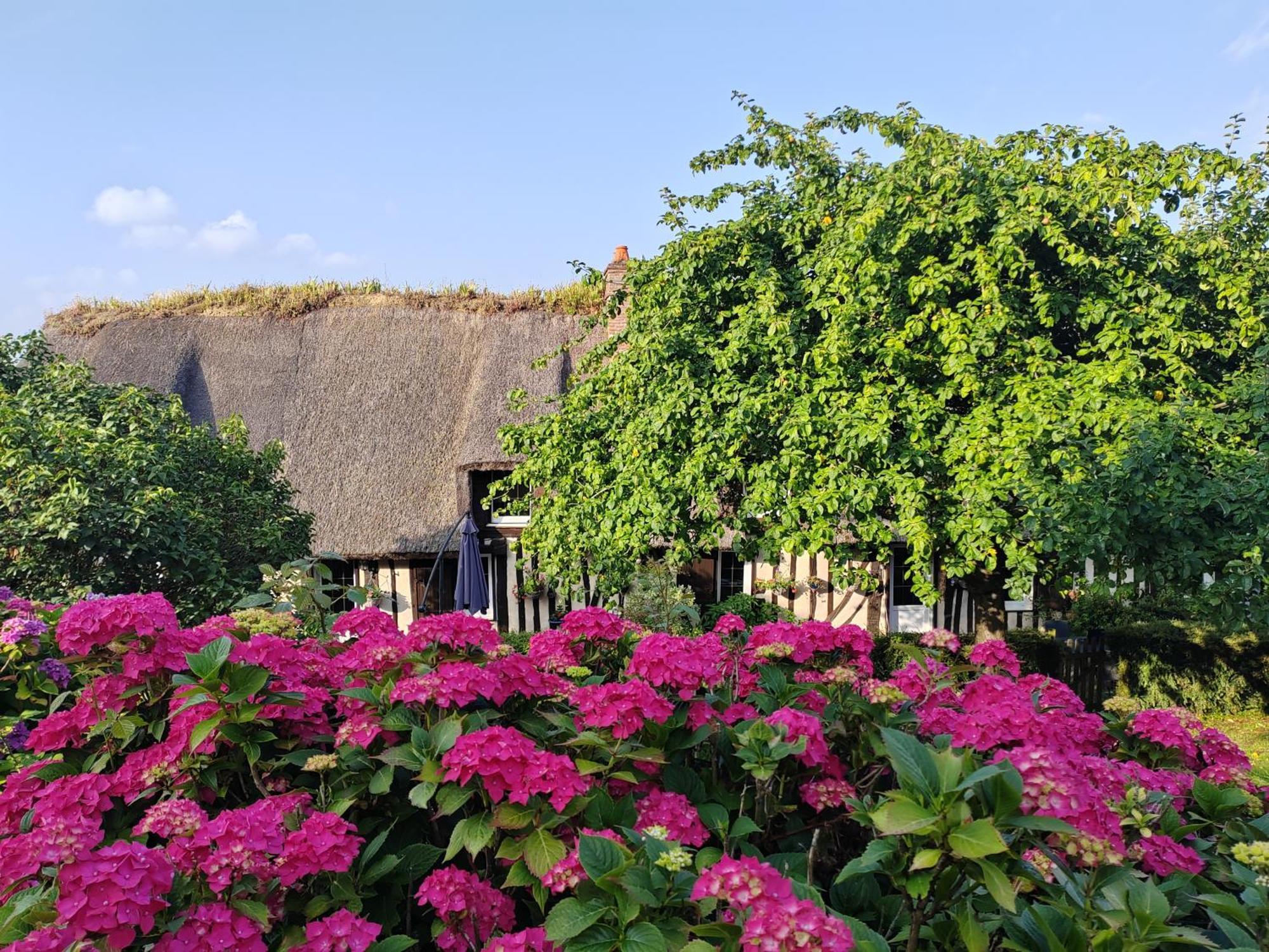 La Maraiquaise Villa Marais-Vernier Bagian luar foto